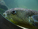 p1000500