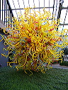 p1000504