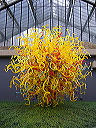 p1000505