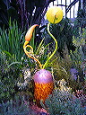 p1000522