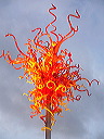 p1000526