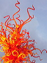 p1000527