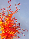 p1000528