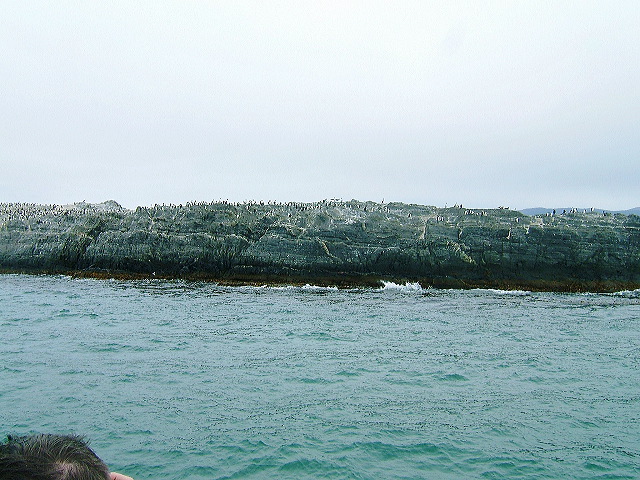 cnv00006.jpg