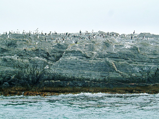 cnv00007.jpg
