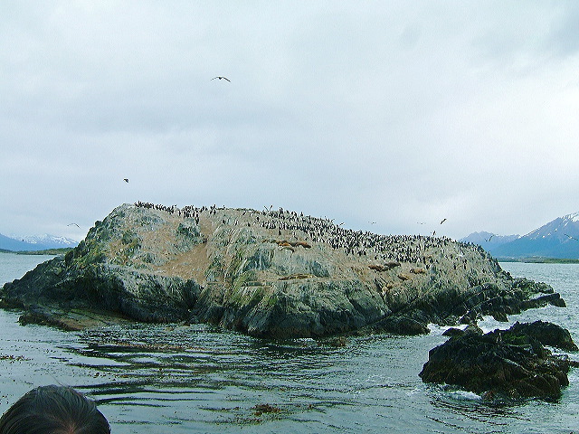 cnv00009.jpg