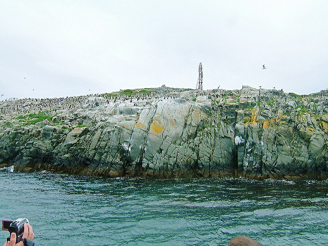 cnv00018.jpg
