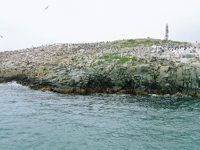 cnv00019.jpg
