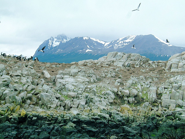 cnv00025.jpg