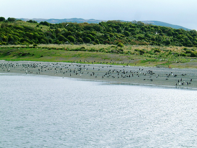 cnv00033.jpg
