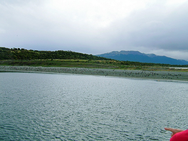 cnv00037.jpg