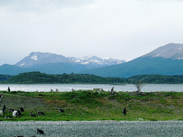 cnv00042.jpg
