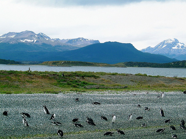 cnv00043.jpg