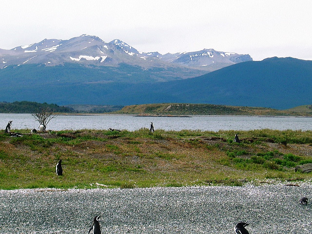 cnv00046.jpg