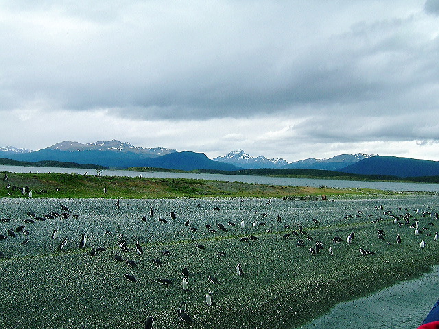 cnv00047.jpg