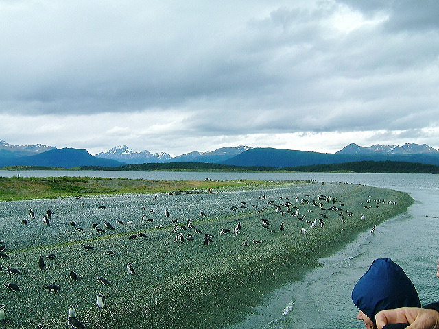 cnv00048.jpg