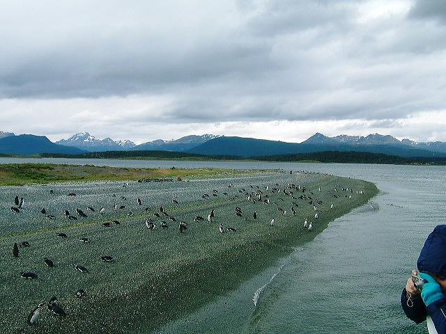 cnv00050.jpg