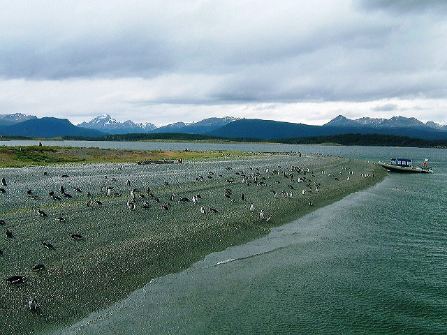 cnv00056.jpg