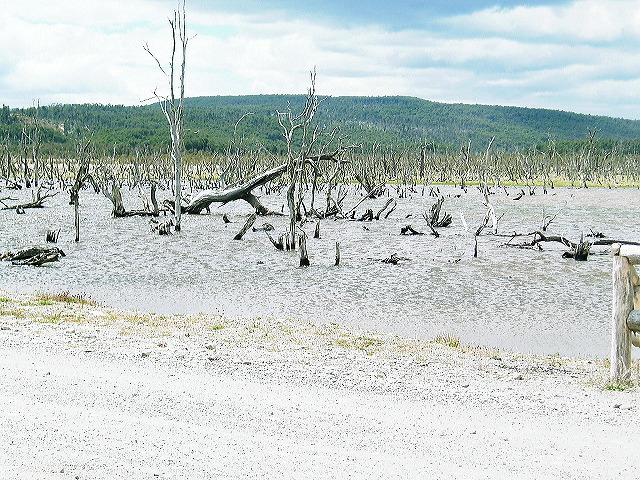 cnv00082.jpg