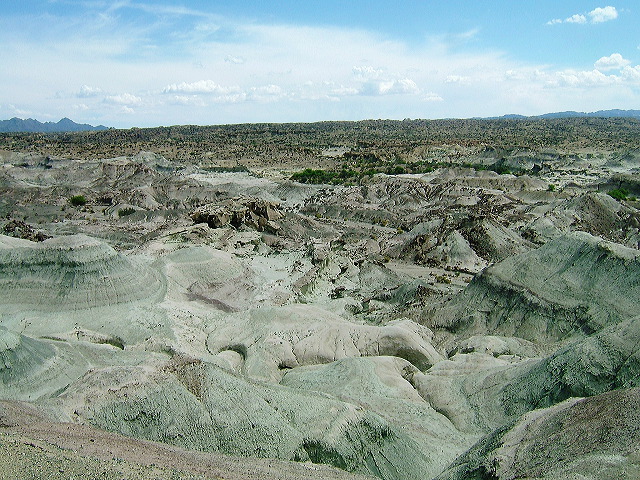 cnv00084.jpg