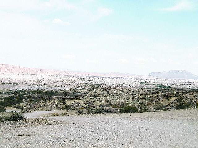 cnv00100.jpg