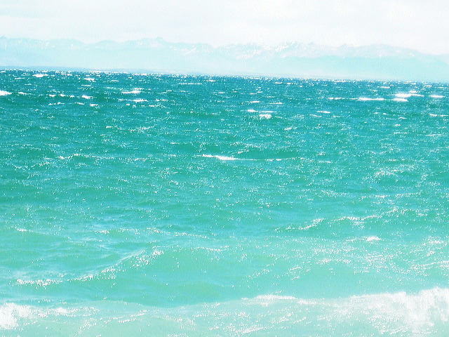 cnv00101.jpg
