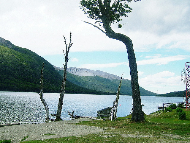 cnv00106.jpg
