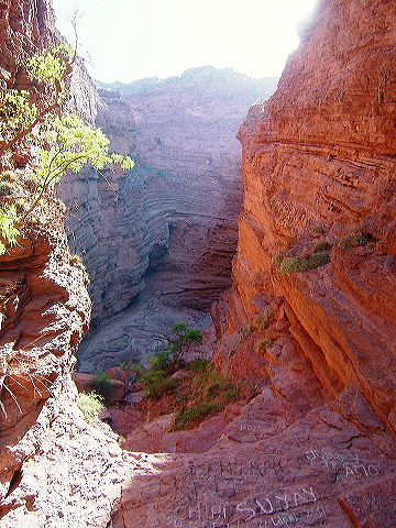 cnv00141.jpg