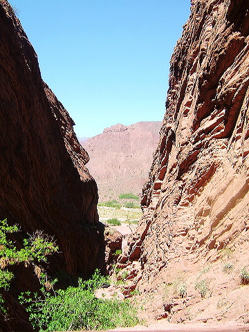 cnv00143.jpg