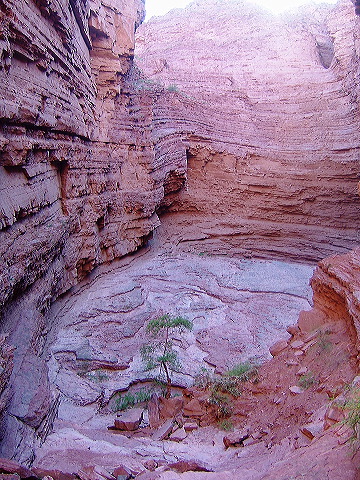cnv00144.jpg