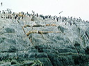 cnv00008