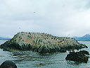 cnv00009