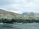 cnv00024