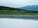 cnv00034