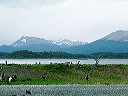 cnv00042