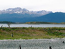 cnv00046