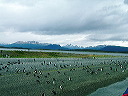 cnv00047