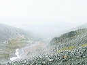 cnv00132