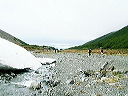cnv00138