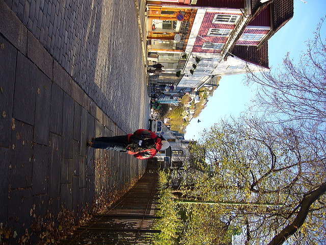 p1020988.jpg