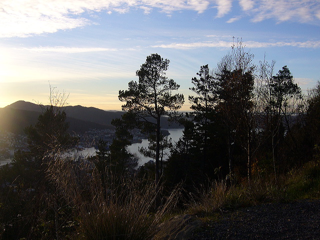 p1030018.jpg