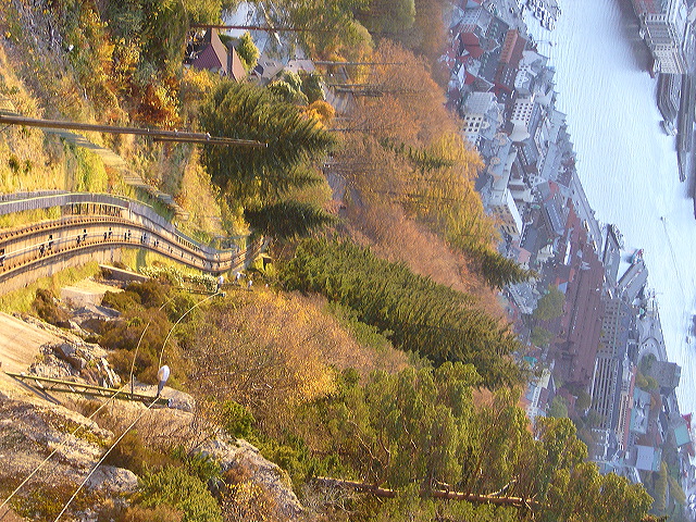p1030029.jpg
