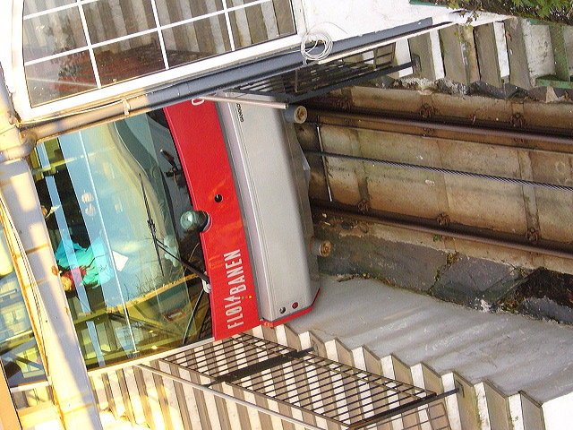 p1030030.jpg