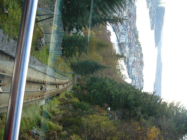 p1030048.jpg