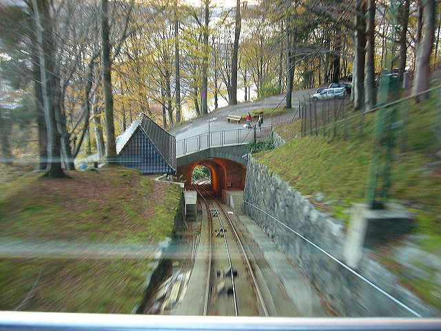 p1030049.jpg