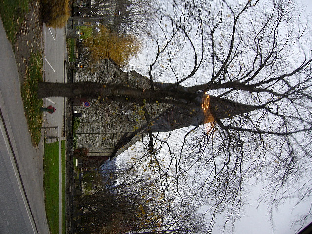 p1030098.jpg