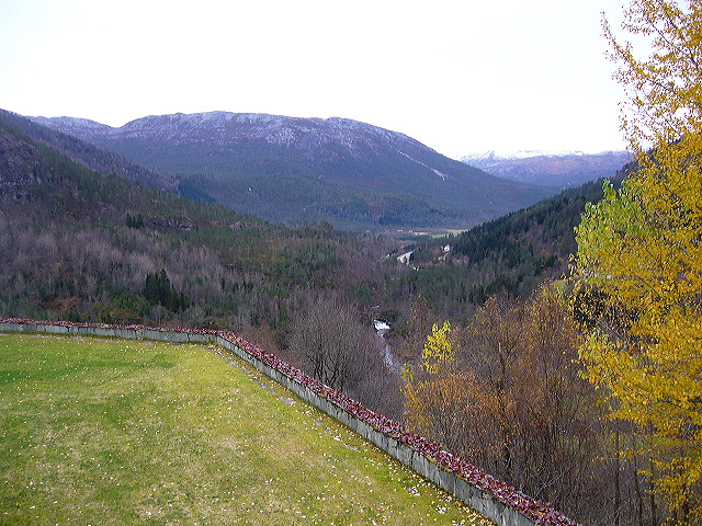p1030126.jpg