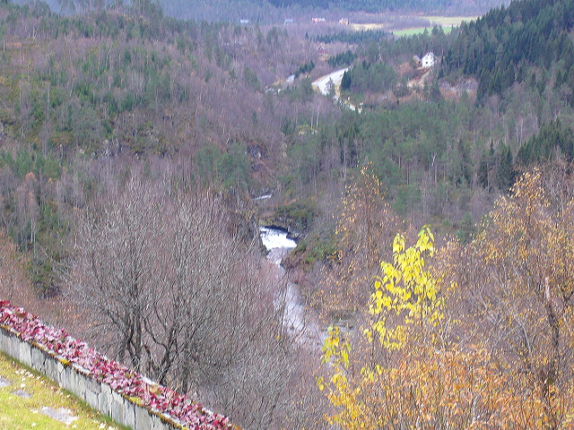 p1030127.jpg