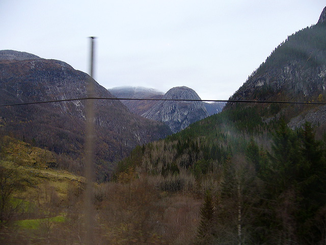 p1030139.jpg