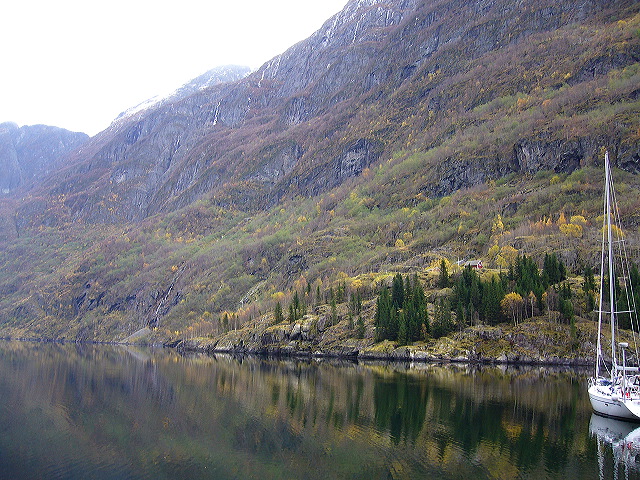 p1030145.jpg